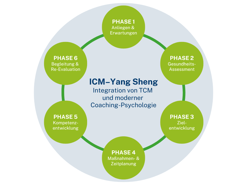 ICM–Yang Sheng: Die Coach-Ausbildung